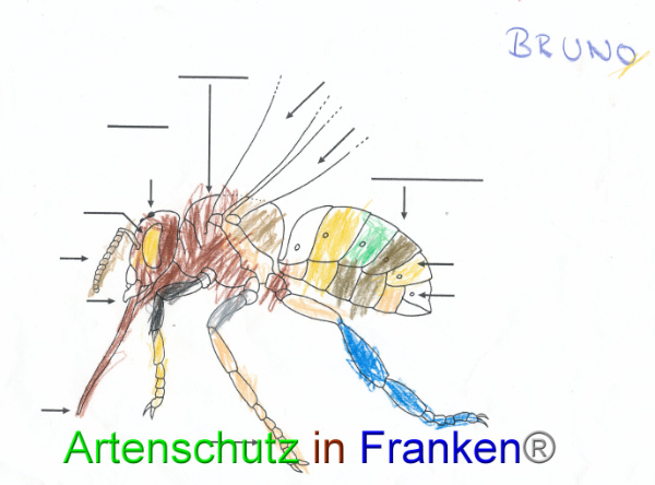 Bild zum Eintrag (91078-160)