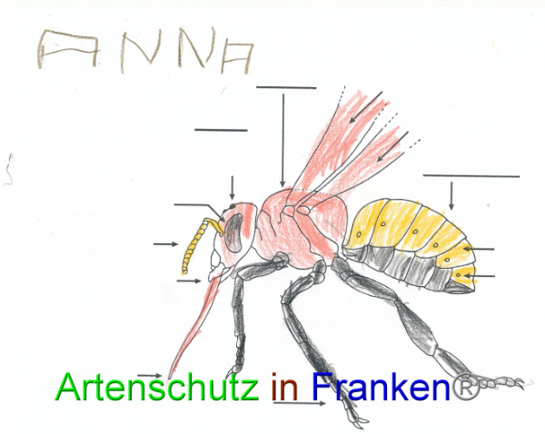 Bild zum Eintrag (91085-160)