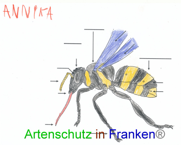 Bild zum Eintrag (91086-160)