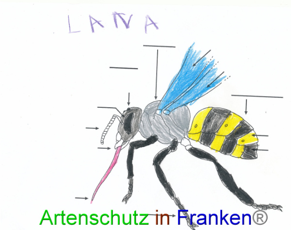 Bild zum Eintrag (91096-160)