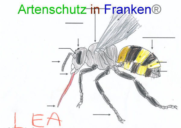 Bild zum Eintrag (91097-160)
