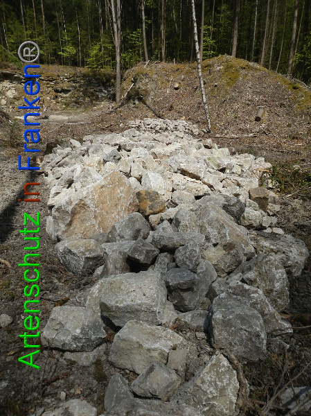 Bild zum Eintrag (91352-160)