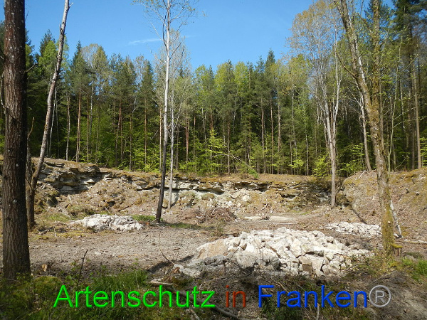 Bild zum Eintrag (91353-160)