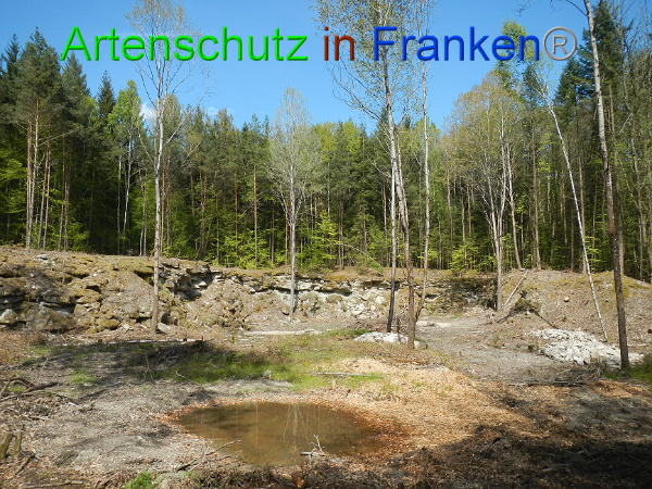 Bild zum Eintrag (91355-160)