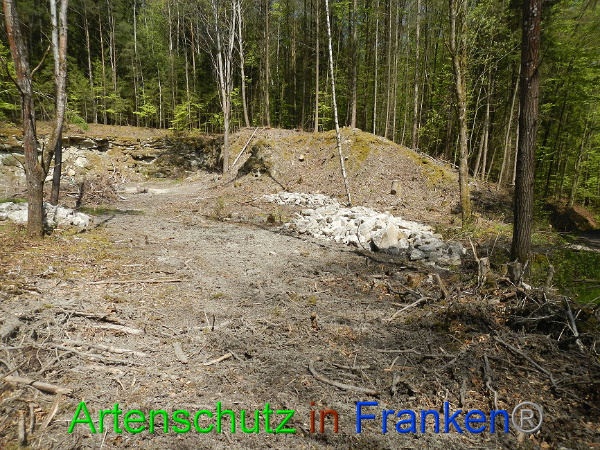 Bild zum Eintrag (91360-160)