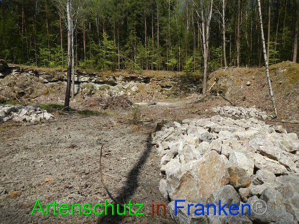 Bild zum Eintrag (91361-160)