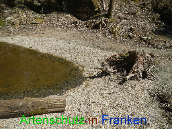 Bild zum Eintrag (91365-160)