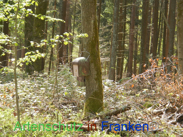 Bild zum Eintrag (91577-160)