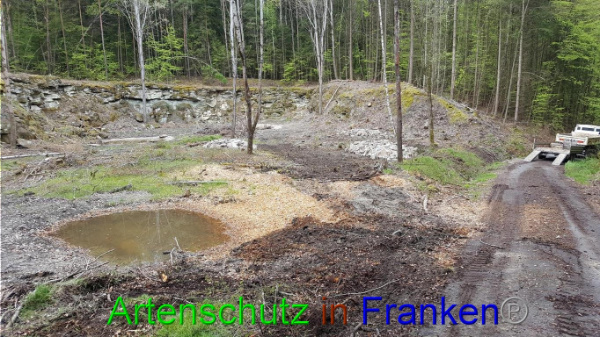 Bild zum Eintrag (91592-160)
