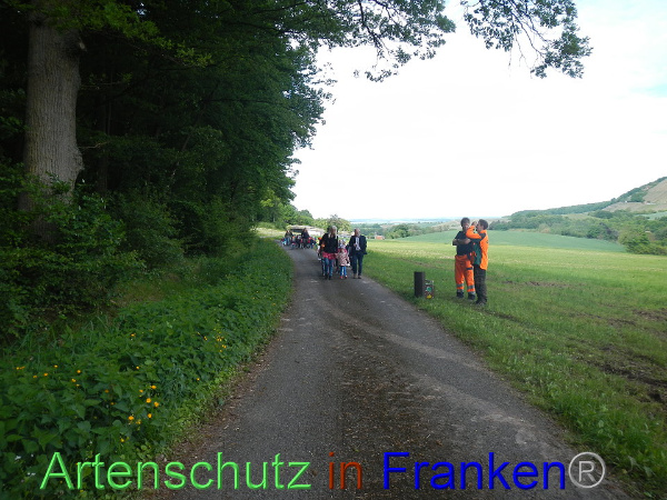 Bild zum Eintrag (91707-160)