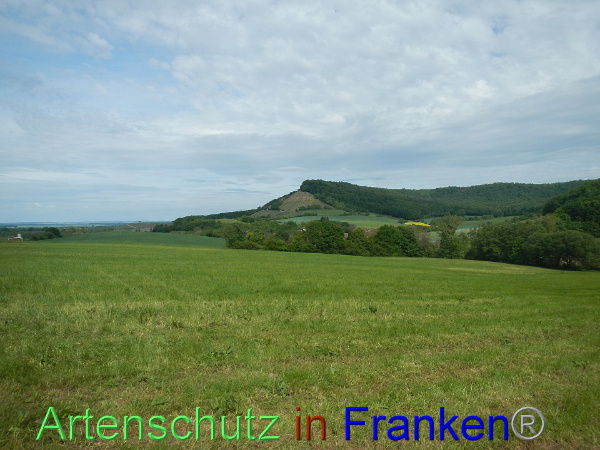 Bild zum Eintrag (91708-160)