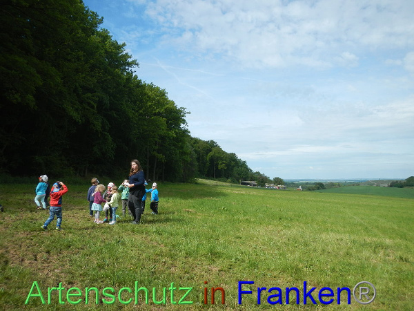 Bild zum Eintrag (91709-160)