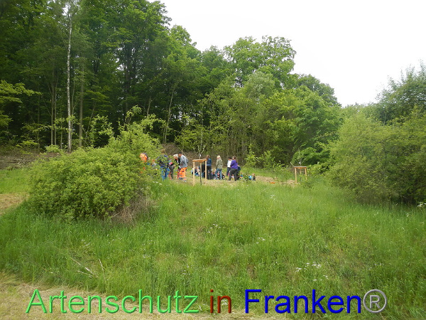 Bild zum Eintrag (91742-160)