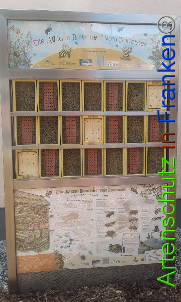 Bild zum Eintrag (92002-160)
