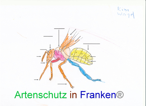 Bild zum Eintrag (92054-160)