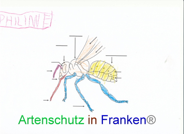 Bild zum Eintrag (92055-160)