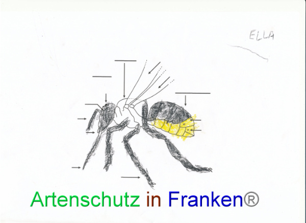 Bild zum Eintrag (92056-160)