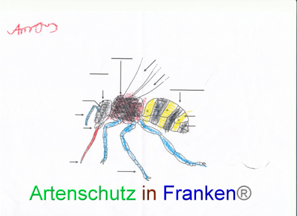 Bild zum Eintrag (92057-160)