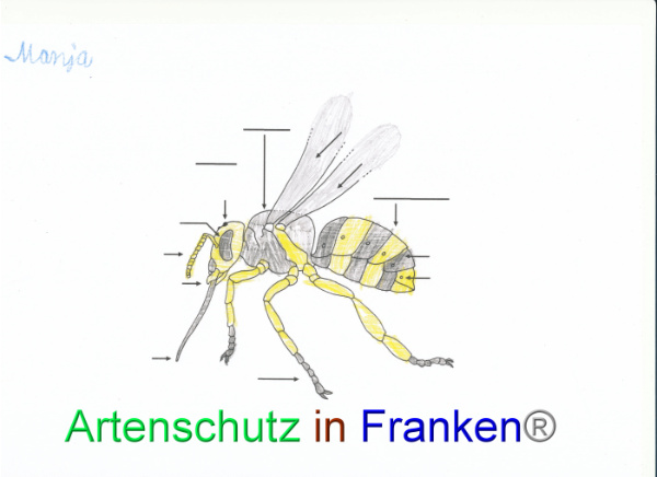 Bild zum Eintrag (92063-160)