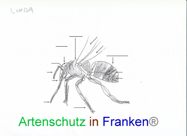 Bild zum Eintrag (92068-160)