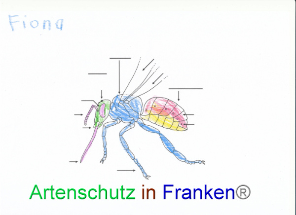 Bild zum Eintrag (92069-160)