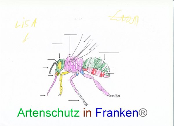 Bild zum Eintrag (92072-160)