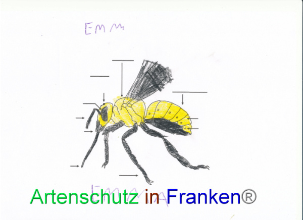Bild zum Eintrag (92079-160)