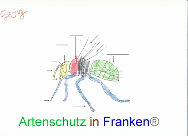 Bild zum Eintrag (92093-160)