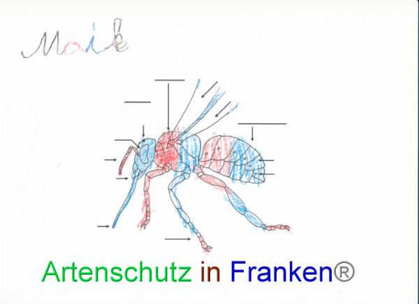 Bild zum Eintrag (92094-160)