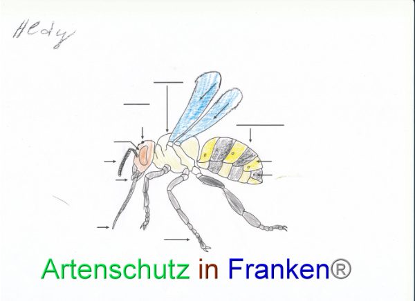 Bild zum Eintrag (92095-160)