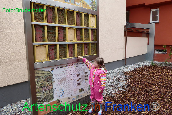 Copyright AiF / S.Bruderhofer Kiga St.Stephan Bild zum Eintrag (92137-160)