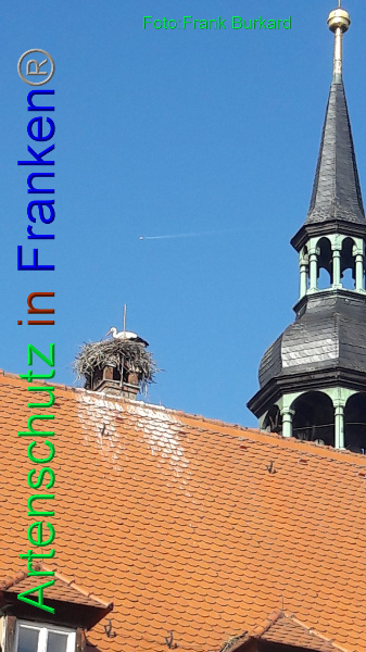 Copyright AiF Frank Burkard Bild zum Eintrag (92221-160)