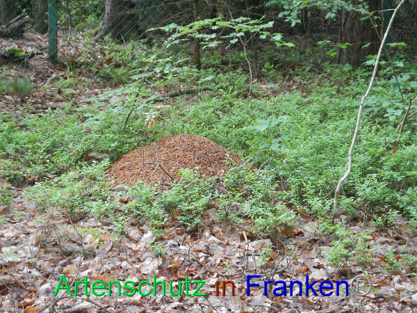 Bild zum Eintrag (92228-160)