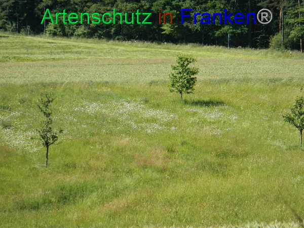 Bild zum Eintrag (92250-160)