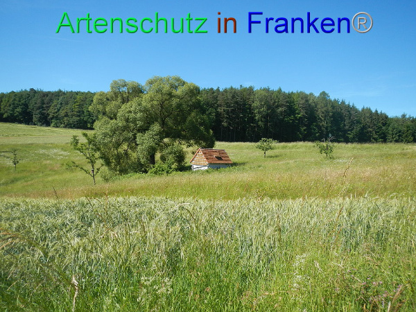 Bild zum Eintrag (92254-160)