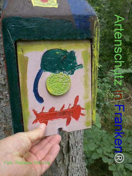 Copyright AiF Sterzing Bild zum Eintrag (92436-160)