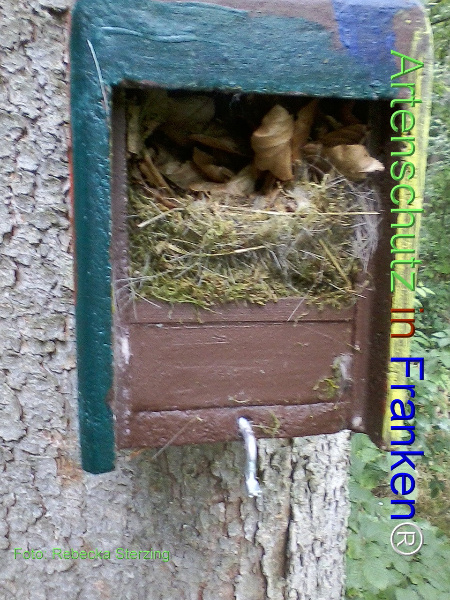 Copyright AiF Sterzing Bild zum Eintrag (92437-160)