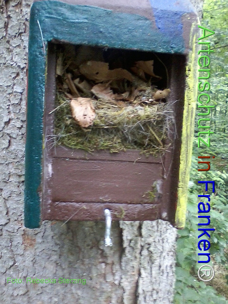 Copyright AiF Sterzing Bild zum Eintrag (92438-160)
