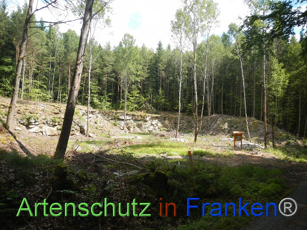 Bild zum Eintrag (92476-160)