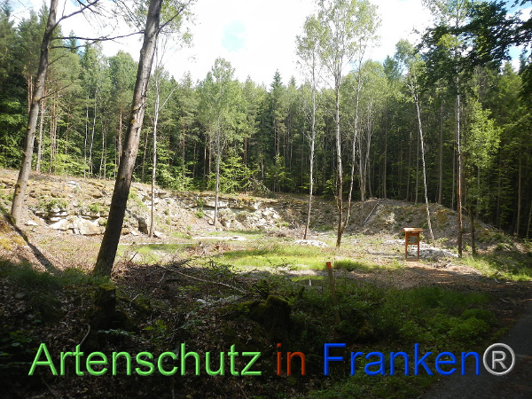 Bild zum Eintrag (92476-160)