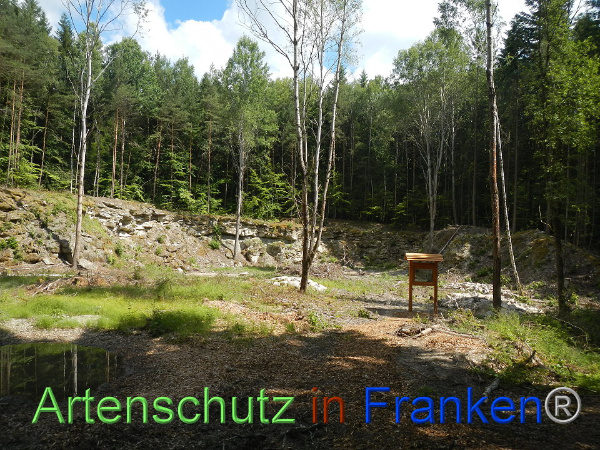 Bild zum Eintrag (92477-160)