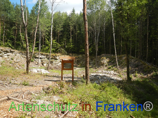 Bild zum Eintrag (92478-160)