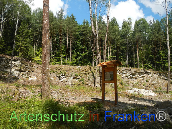 Bild zum Eintrag (92479-160)