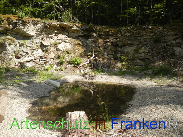 Bild zum Eintrag (92486-160)