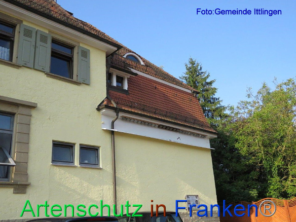 Bild zum Eintrag (92625-160)