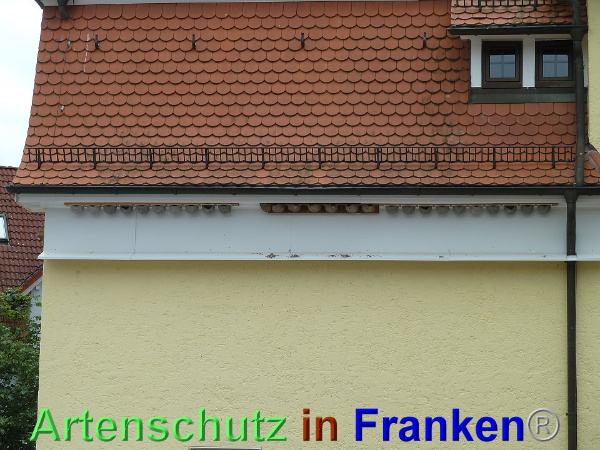 Copyright AiF Gemeinde Ittlingen Bild zum Eintrag (93514-160)