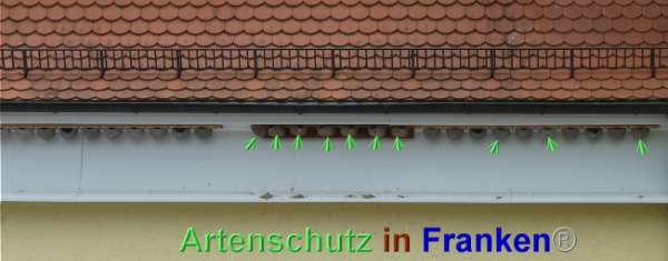 Copyright AiF Gemeinde Ittlingen Bild zum Eintrag (93515-160)