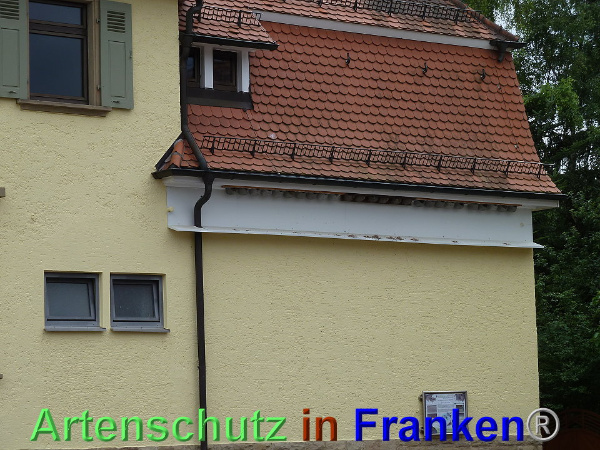 Copyright AiF Gemeinde Ittlingen Bild zum Eintrag (93516-160)