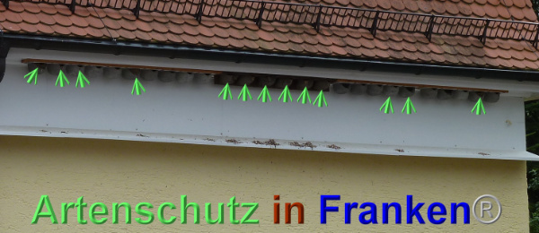 Copyright AiF Gemeinde Ittlingen Bild zum Eintrag (93517-160)