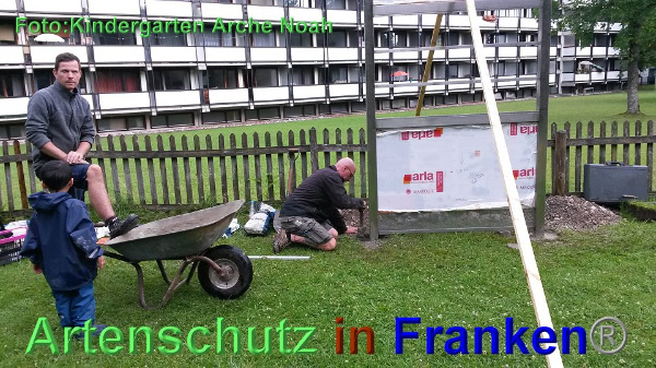 Copyright AiF Kindergarten Arche Noah Bild zum Eintrag (93673-160)